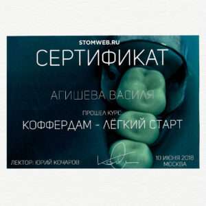 Agisheva_cert_12