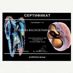 Agisheva_cert_7